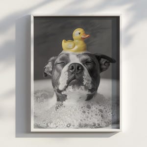 Staffy Bubble Bath Print: Lustiger Hund Badezimmer Wandkunst (Digitaler Download)