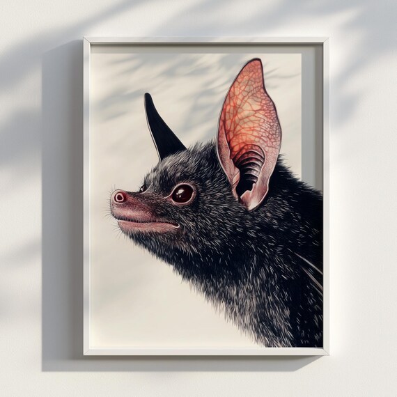 蝙蝠 コウモリ 白 蚕 創作 珍獣 動物 原画 アート 絵画 画家 インテリア 蝙蝠 コウモリ 白 蚕 創作 珍獣 動物 原画 アート 絵画 画家