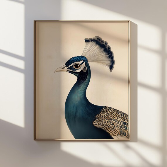 浮世絵「孔雀の肖像」：日本の水墨画（デジタルダウンロード） - Etsy 日本