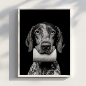 May include: Black and white framed print featuring a dog holding a roll of toilet paper in its mouth. The dog has brown and white fur and is centered against a black background. The print is in a white frame.
