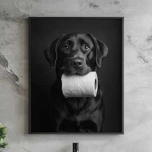 May include: A black and white photograph of a black Labrador Retriever holding a roll of toilet paper in its mouth.