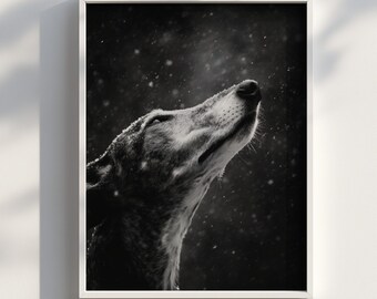 Greyhound Black And White Photo Winter | Digital Download Art | Digital Print | Digital Download Wall Art Print
