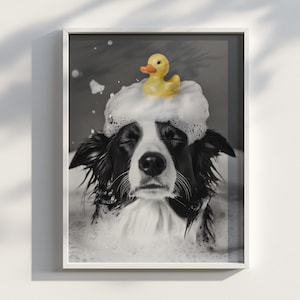 Può includere: Stampa incorniciata in bianco e nero di un cane Border Collie in un bagno di schiuma. Il cane ha gli occhi chiusi e una paperella di gomma gialla sulla testa, circondata da bolle bianche. L'immagine è incorniciata in bianco.
