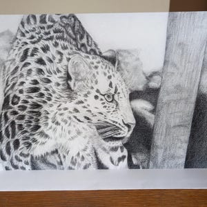 Amur Leopard&quot; on the prowl&quot; A5 card (BLANK INSIDE)
