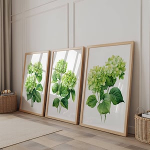 Green Hydrangea Wall Art Set of 3 Botanical Watercolor Flower Paintings Printable Instant Download