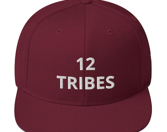 12 Tribes Snapback Hat