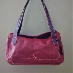 Petusco bags online price