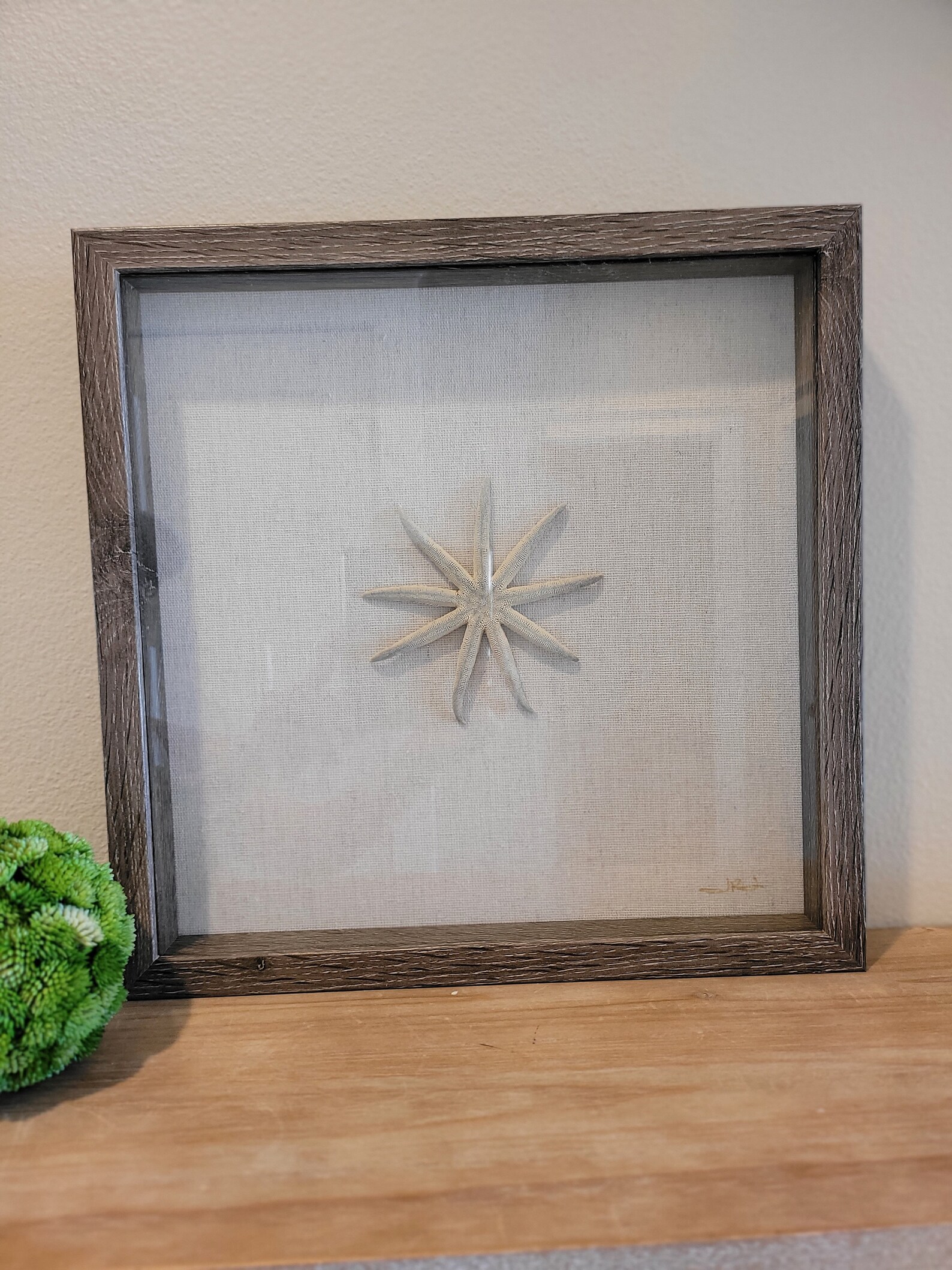Handmade Shell Art - Sea Star - Etsy