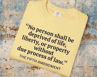 Camiseta proinmigración de la Quinta Enmienda: Camiseta activista teñida de ICE Out