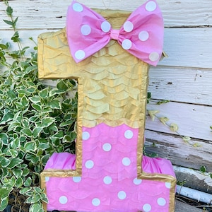 Pink And Gold Number  Piñata Girl Party (available numbers 1-9)