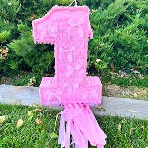 May include: A large pink number one piñata, adorned with bows and pearl accents. The piñata features a braided border and pink fringe at the base. It is suspended by a string against a backdrop of green foliage and grass.