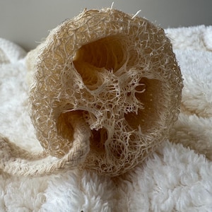 100% natürlich auf Pflanzenbasis zum Duschen Ganz natürlicher Luffa-Schwamm zur Selbstpflege, 100 Prozent umweltfreundliche natürliche Reinigung Ungebleichte Luffa