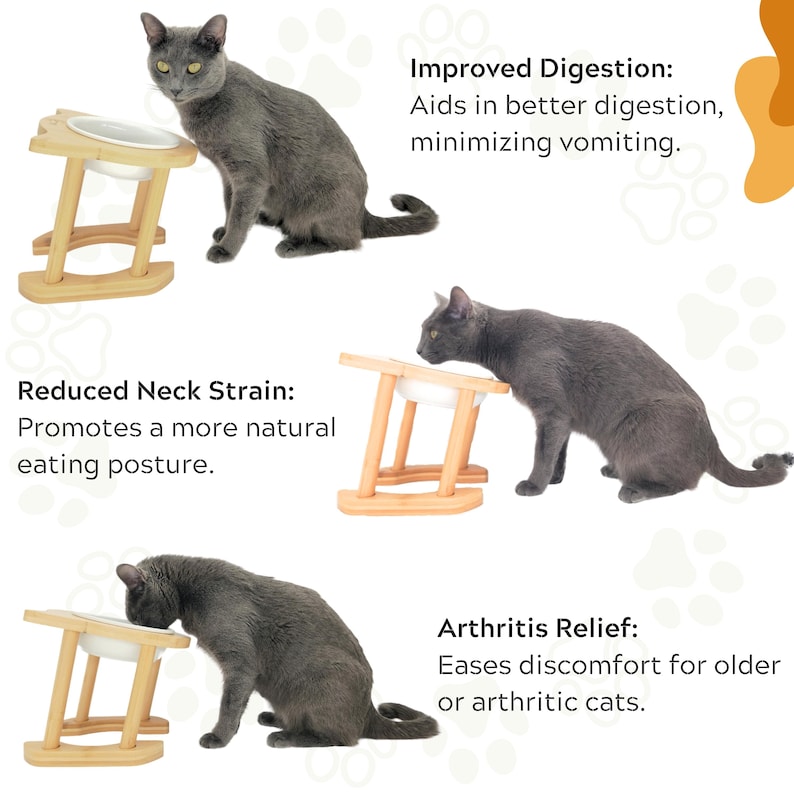 Elevated Raised Ceramic Cat Bowl with Bamboo Stand: Tilted, Adjustable Feeder image 6