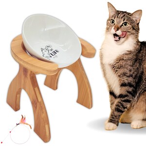 May include: A white ceramic cat food bowl with a black and white graphic of a cat saying "Meow I cat like it" on a raised wooden stand. A tabby cat is sitting next to the stand.