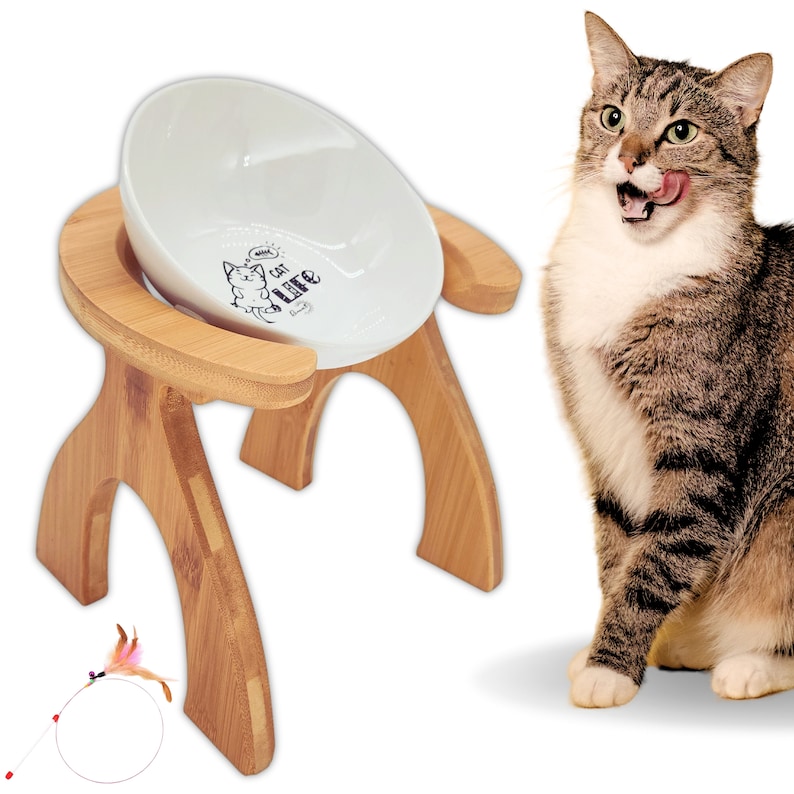 May include: A white ceramic cat food bowl with a black and white graphic of a cat saying "Meow I cat like it" on a raised wooden stand. A tabby cat is sitting next to the stand.