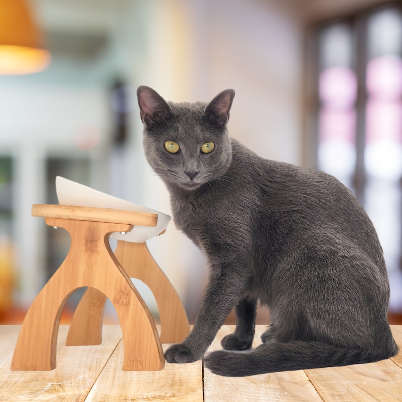 May include: A gray cat sits next to a white ceramic pet food bowl on a wooden stand. The stand has a natural wood finish and a simple design.