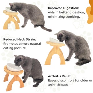 May include: A gray cat eating from a white ceramic bowl elevated on a wooden stand. The stand has a curved arch design and is made of natural bamboo. The image shows three different cats eating from the elevated bowls, with text describing the benefits of using elevated bowls for cats, including improved digestion, reduced neck strain, and arthritis relief.