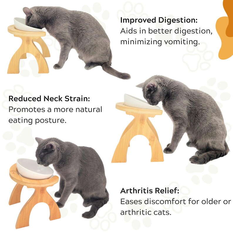 May include: A gray cat eating from a white ceramic bowl elevated on a wooden stand. The stand has a curved arch design and is made of natural bamboo. The image shows three different cats eating from the elevated bowls, with text describing the benefits of using elevated bowls for cats, including improved digestion, reduced neck strain, and arthritis relief.