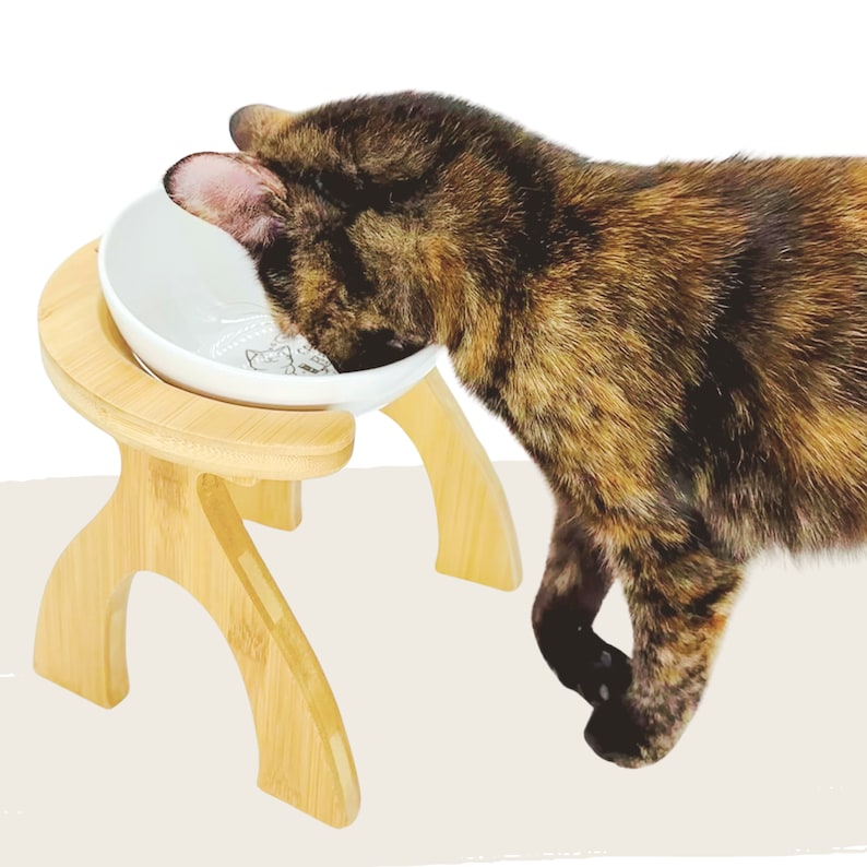 May include: A brown and black cat drinking from a white ceramic bowl elevated on a natural bamboo stand. The stand has two legs on each side, creating a raised platform for the bowl.