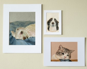 Custom Pet Portrait with Pastel