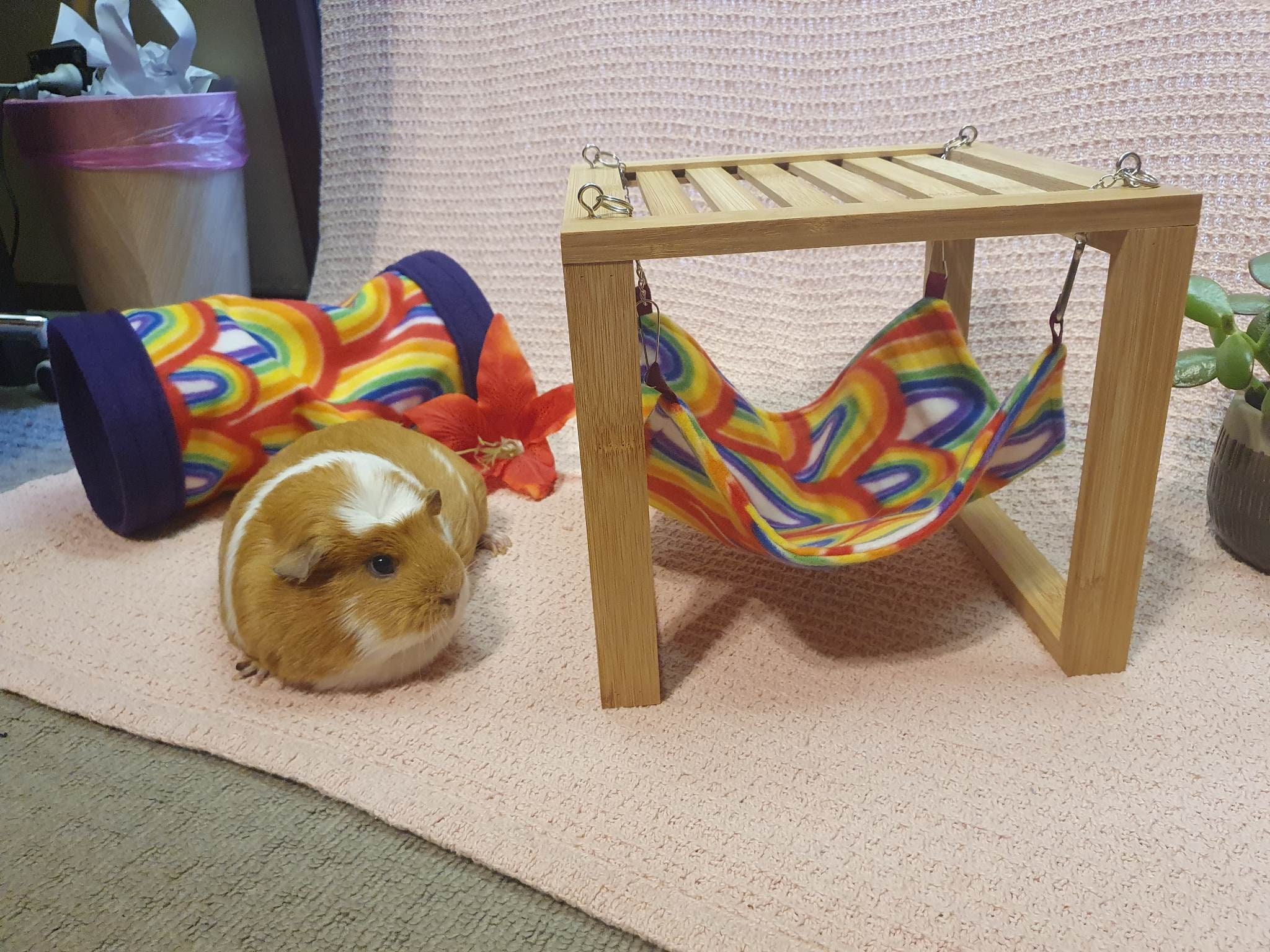 Hammocks With Wooden Stand for Guinea Pigs and Other Small Etsy UK