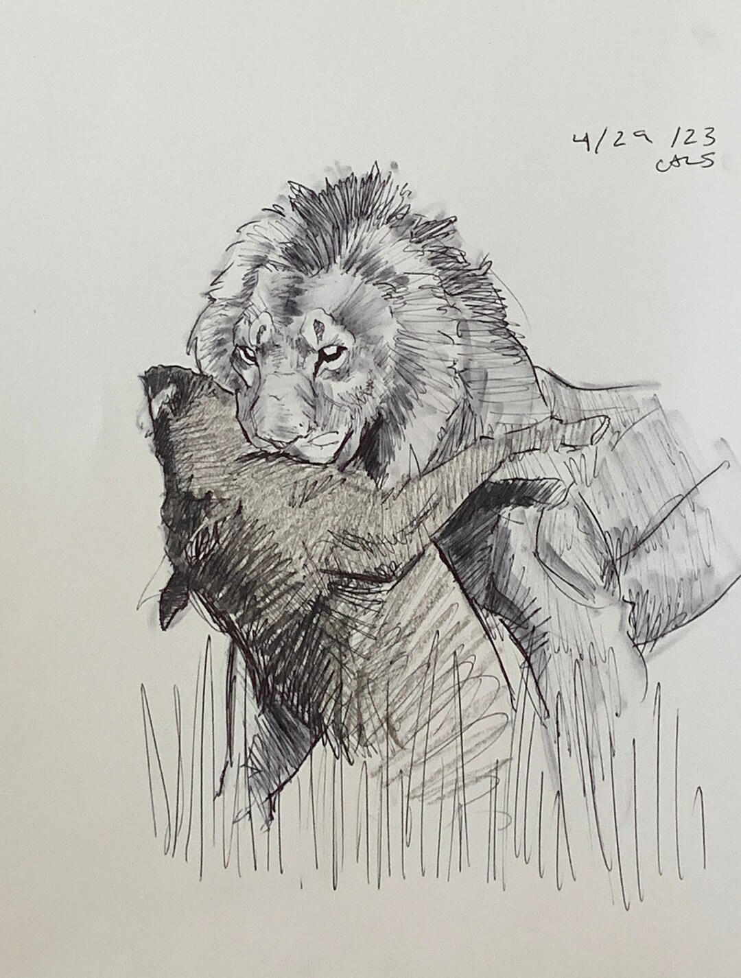 Lion and Warthog Original Drawing - Etsy