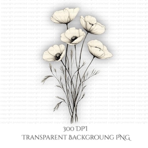 11 dessins au trait fleur de pavot - Illustrations florales botaniques en noir et blanc dessinées à la main, PNG imprimables pour travaux manuels en papier et journal indésirable