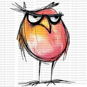 12 Clipart di uccelli scontrosi astratti – PNG di cartoni animati ad acquerello, clipart stampabili, sfondo trasparente, adesivi di carta per artigianato di uccelli divertenti