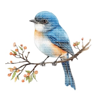 19 PNGs de pássaros em um galho - Vários pássaros em aquarela em um galho, Arte de berçário, Clipart para impressão, Adesivos de papel para pássaros fofos e engraçados