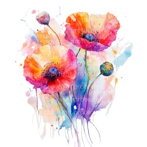 15 Clipart de fleurs aquarelle abstraites, PNG coquelicot généré par l'IA, art floral numérique, fleurs transparentes haute résolution pour travaux manuels et impressions