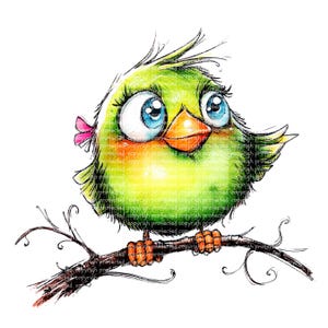12 adorables y caprichosos pájaros clipart - Dibujos de acuarela PNG, clipart imprimible, fondo transparente, pegatinas de papel con pájaros adorables