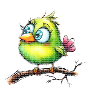 12 adorables y caprichosos pájaros clipart - Dibujos de acuarela PNG, clipart imprimible, fondo transparente, pegatinas de papel con pájaros adorables
