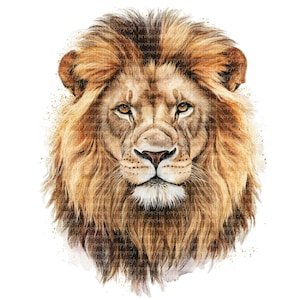 28 Lion Watercolor Clipart Set - Lion Illustrations PNGs, Safari Wild Animal Graphics for Scrapbooking, Junk Journaling, Paper Crafts