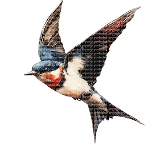 12 PNG de golondrinas: dibujo de acuarela de aves, clipart imprimible, fondo transparente, manualidades de papel, diarios basura, pegatinas