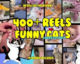 400+ Funny Cats Reels, Cute Kitten Fail Moments, Viral Cat Memes, Animal Pet Videos Instagram TikTok Clips, Cat lover, Master Resell Rights