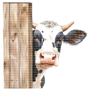 May include: A black and white cow with a pink nose peeks around a wooden fence. The cow has black spots on its white fur and is looking directly at the viewer.