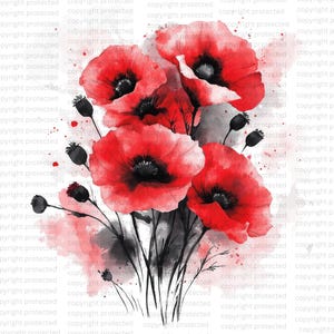 16 Clipart abstrait fleurs de pavot rouge, impression florale de coquelicots, clipart aquarelle imprimable, haute qualité PNG, téléchargement numérique, créations en papier