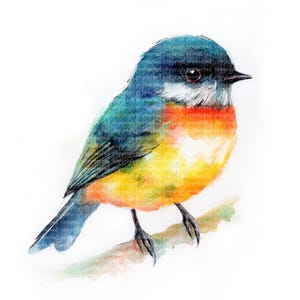 12 imágenes prediseñadas de aves en acuarela (JPG): dibujos de aves, imágenes prediseñadas imprimibles, manualidades de papel con aves coloridas, pegatinas, arte mural, uso comercial gratuito.