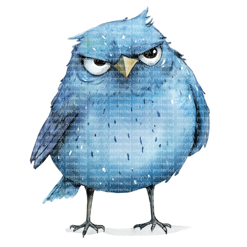 12 Blue Grumpy Birds Clipart – Watercolor Cartoon Bird Pngs, Printable ...