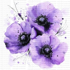 15 Clipart abstrait fleurs de pavot violet, Clipart aquarelle imprimable, impression florale de coquelicots, PNG de haute qualité, téléchargement numérique, créations artisanales en papier