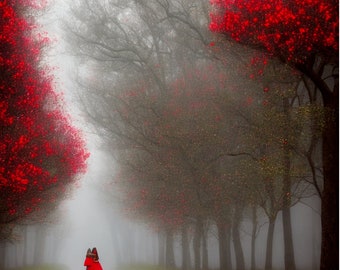 Crimson Companions: A Fog-veiled Stroll Amongst Magnolia Trees