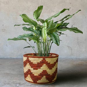 Handwoven Planter Basket | 12 In Minimal Coiled Plant Pot Cover | Boho Indoor Plant Decor | Natural Fiber Gift | Japandi Artisan Home Decor