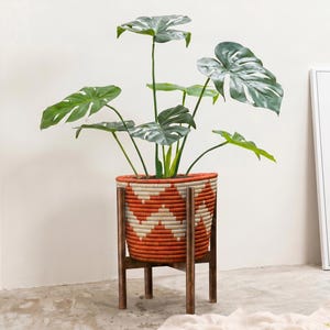 May include: A large potted Monstera plant with green leaves in a woven basket planter with a red and white geometric pattern. The planter sits on a dark brown wooden stand.
