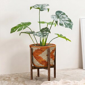 May include: A Monstera plant in a woven basket planter with an orange and cream geometric pattern, on a dark wooden stand. The plant has large, green leaves. The planter is a stylish addition to any home, adding a touch of nature.