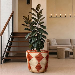 Op de afbeelding: Een grote rubberplant met donkergroene bladeren in een geweven mand met een rood en crème ruitpatroon. De plant staat in een moderne woonkamer met een trap en een bank.