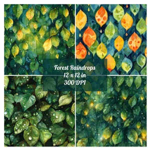 May include: A digital paper pack with four seamless patterns featuring watercolor illustrations of green leaves with raindrops. The text "Forest Raindrops 12 x 12 in 300 DPI" is in the center of the image.
