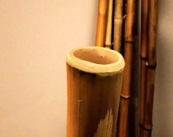 2 Pack Bamboo Poles Flame Cured 1.5-2 inches Diameter 1-7ft Long Cut to Order