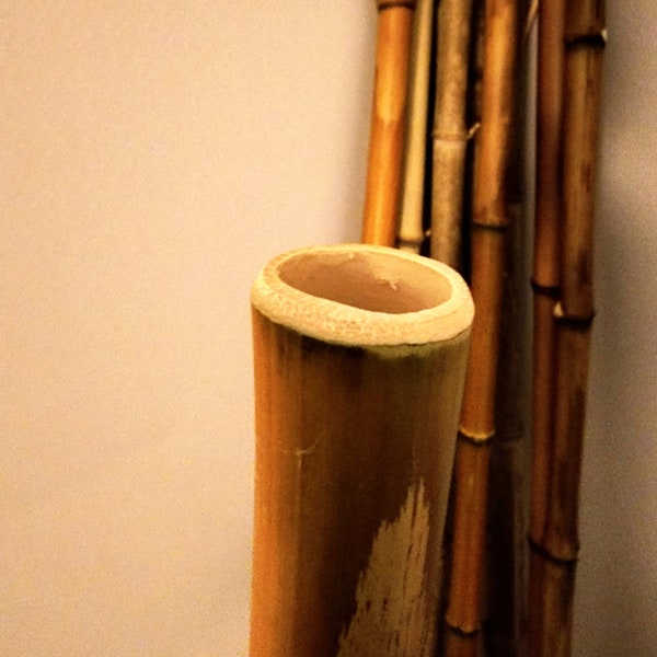 Bamboo Pole Flame Cured 1-1.5in Diameter 1-7ft Long Cut to Order
