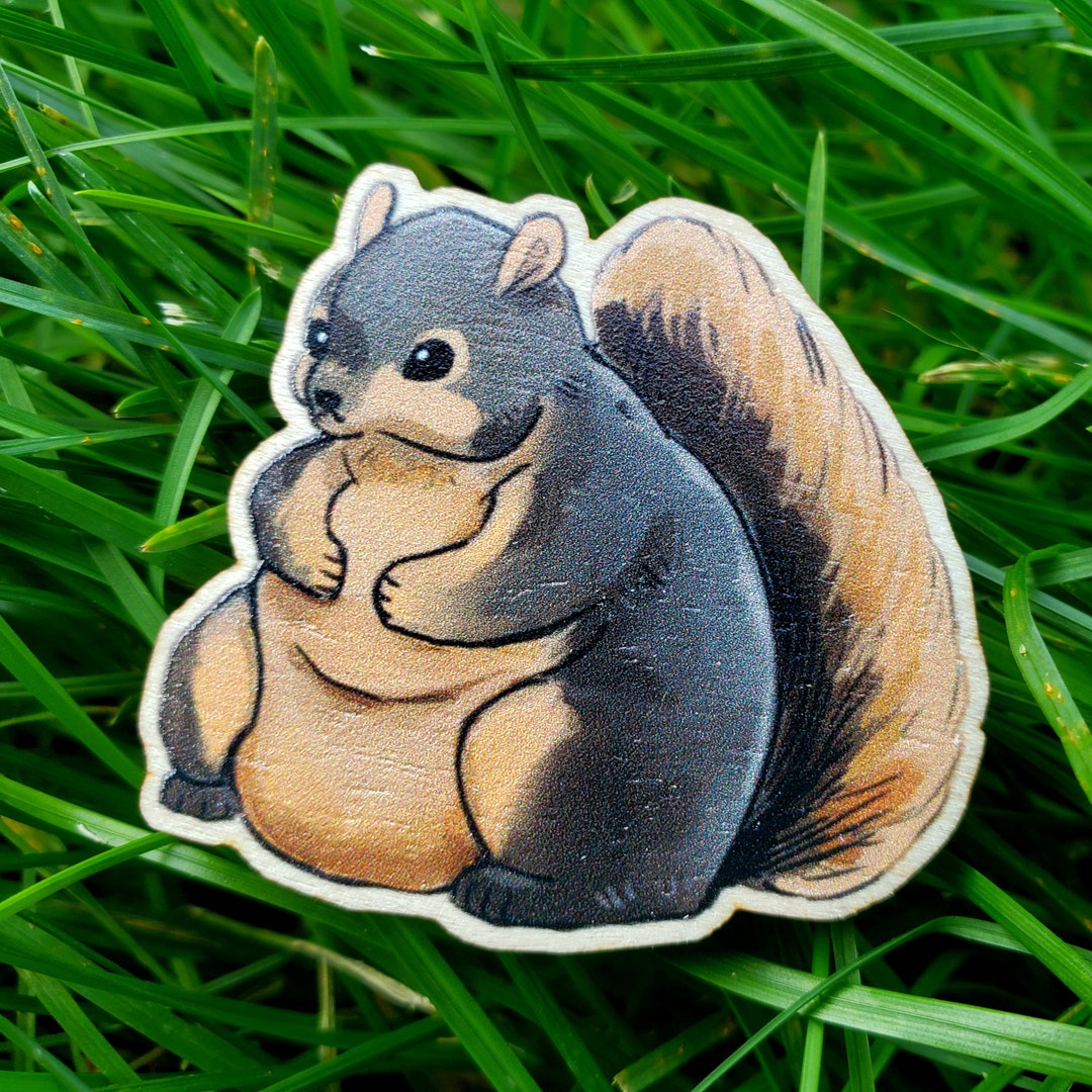 Chonky squirrels