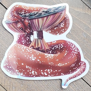 Peut inclure: Un autocollant représentant une illustration détaillée d'un champignon avec un chapeau rouge et des points blancs. Le champignon a un aspect texturé et est posé sur un fond en bois. L'autocollant est un design fantaisiste.